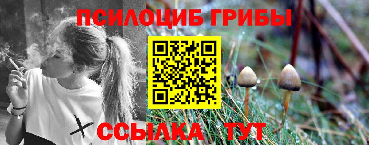 Псилоцибиновые грибы Cubensis Новочеркасск